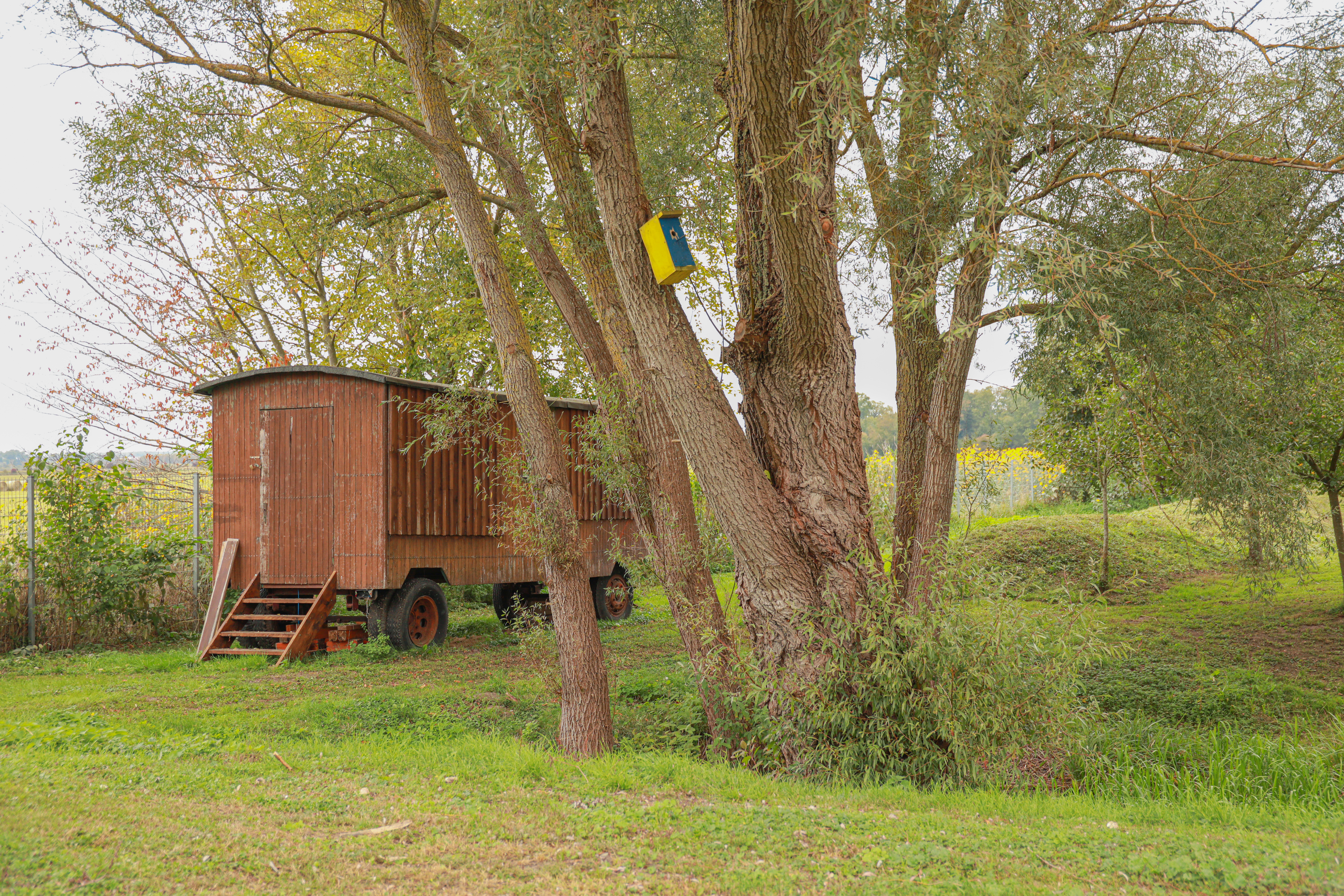 Gallery Item 1 copy copy copy copy copy