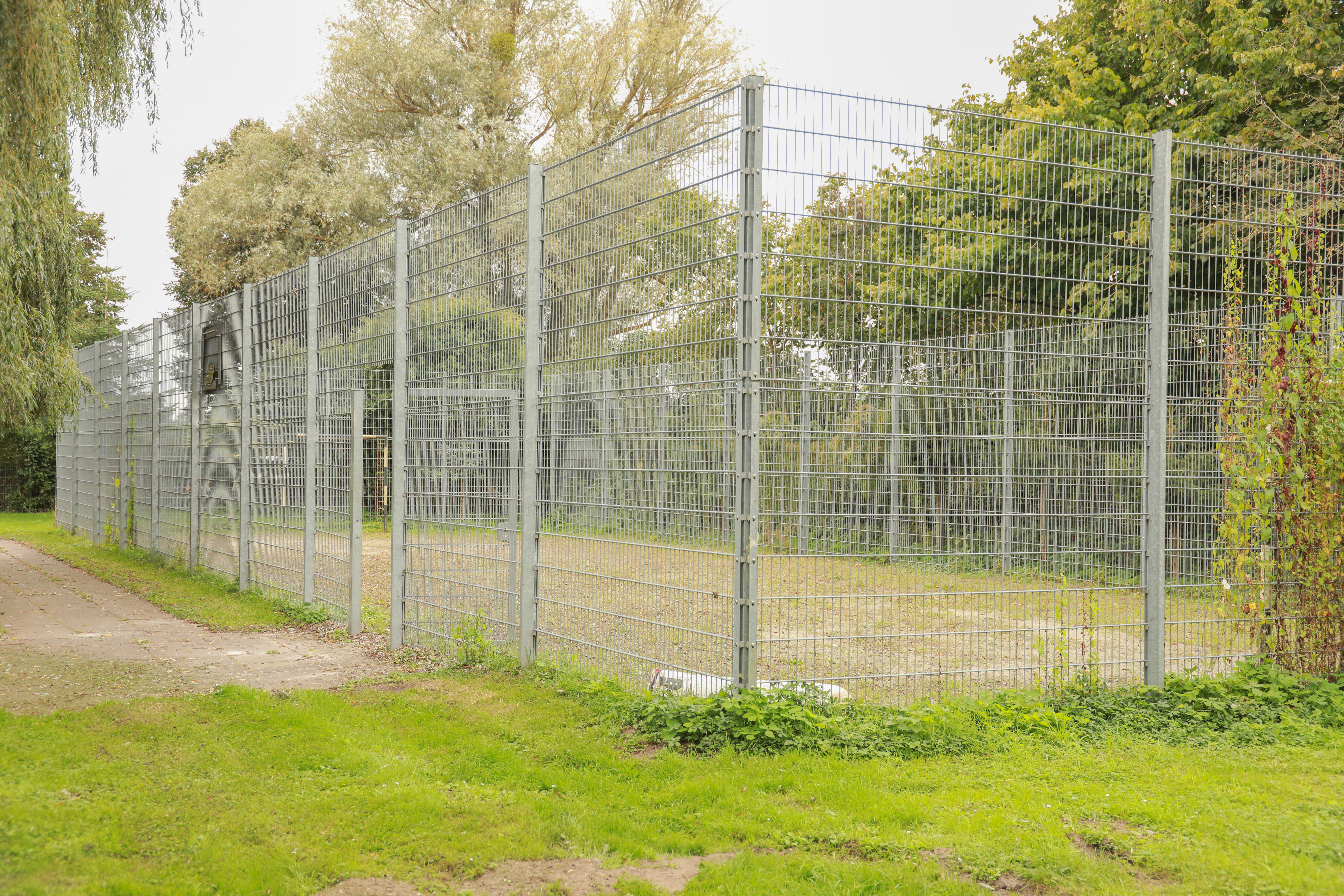 Gallery Item 1 copy copy copy copy