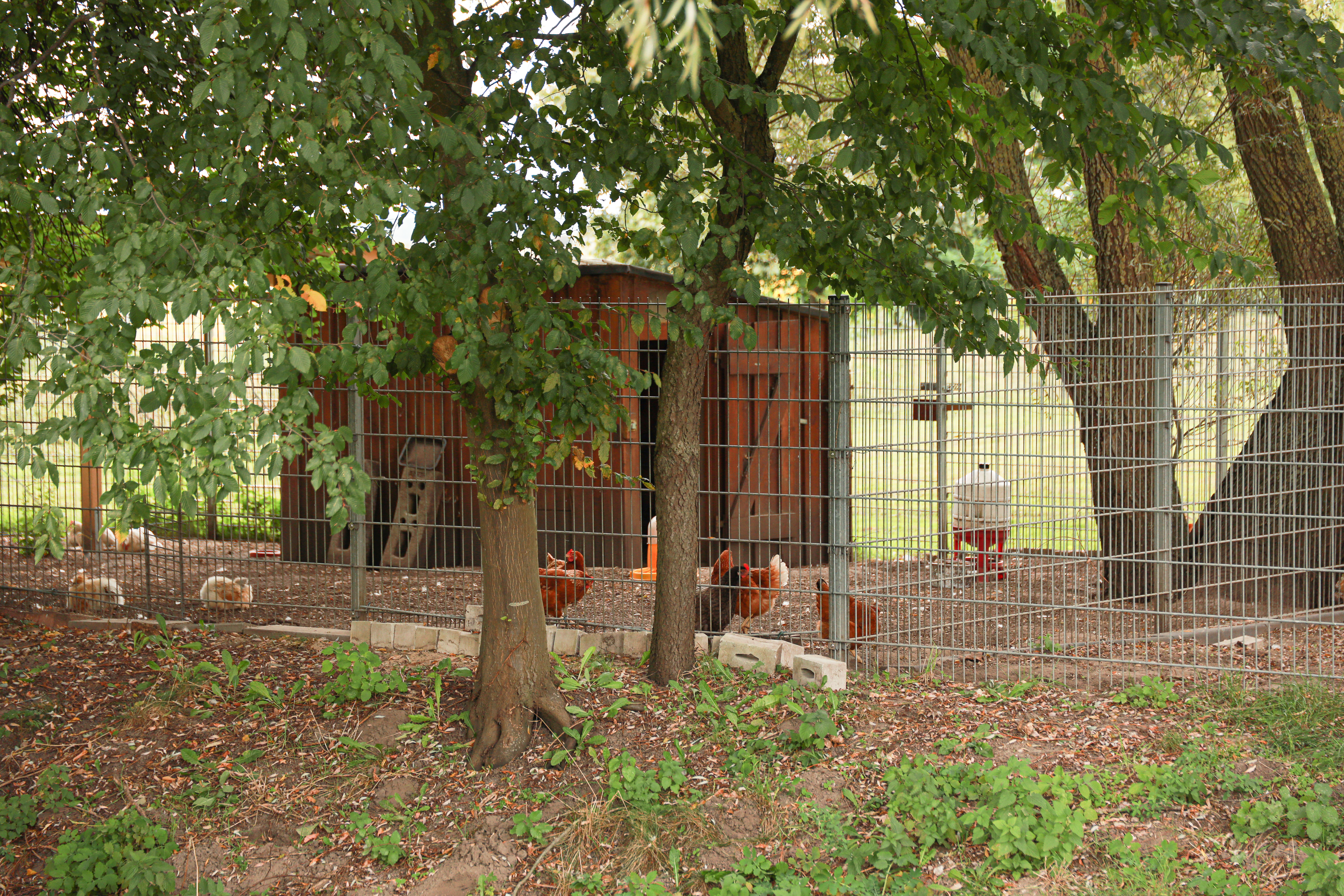 Gallery Item 1 copy copy copy